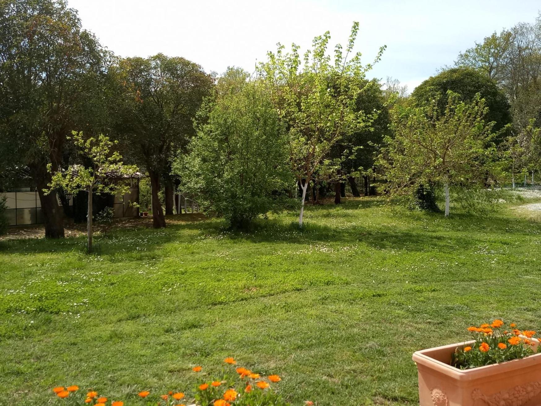 Az.Agricola Agriturismo La Locanda Di Lann Apartment Fucecchio Exterior foto